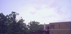 sky.jpg