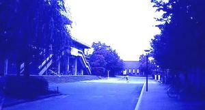 test.jpg